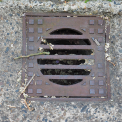 blocked drain chelmsford